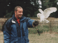 Falconry Experience Exeter