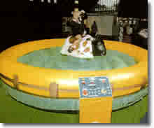 Bucking Bronco Hire and Rental